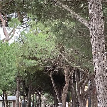 Garden 公寓 里杜德里伊斯坦西