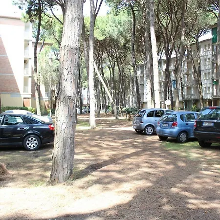 Garden *